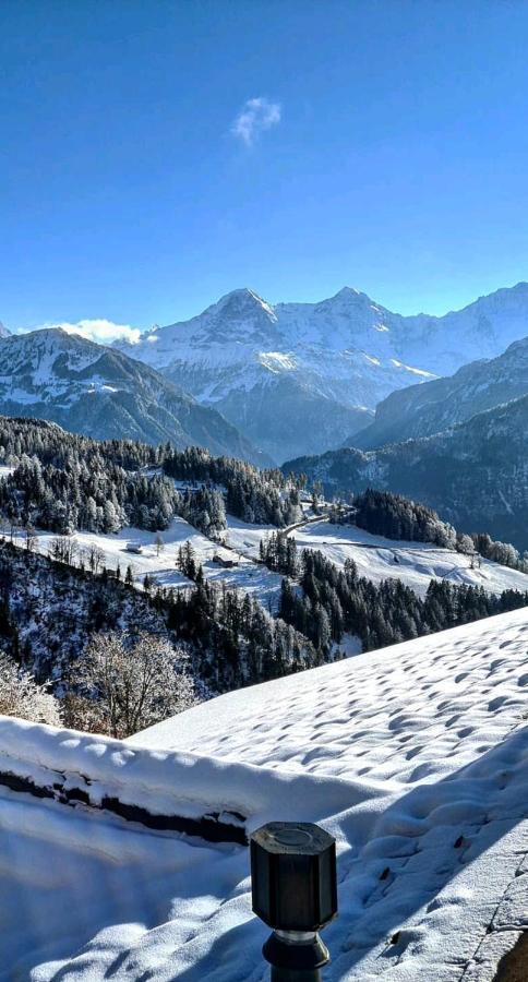 Chalet Lilo 2 Zimmer Top Mountain View Beatenberg Exterior foto